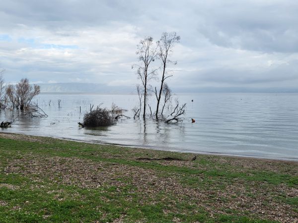 מטורף: מפלס הכנרת בעוד זינוק אדיר