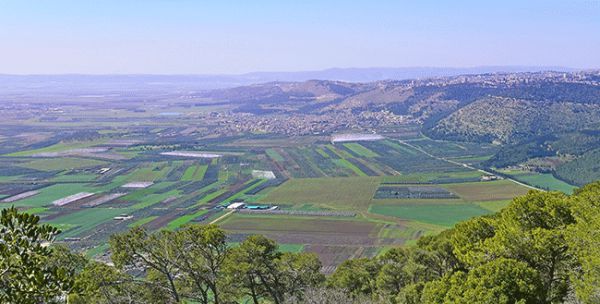 מכללת צפת: בטוח תמצאו מסלול שתרצו ללמוד בו