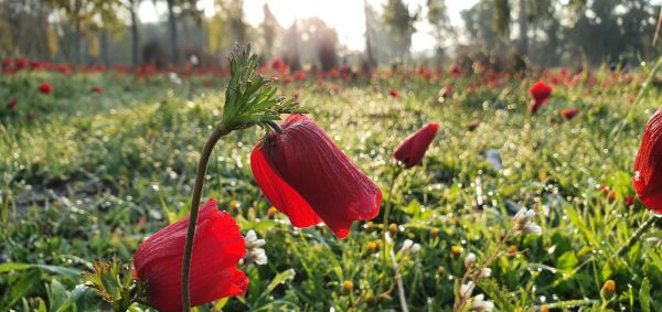 הנה זה בא: תיעוד מרהיב מהדרום