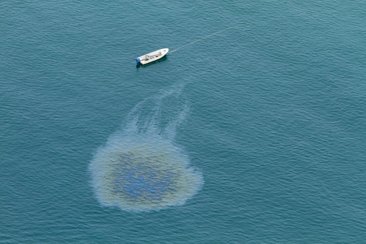 חשש כבד: האם זיהום נפט בדרך לחופי ישראל?