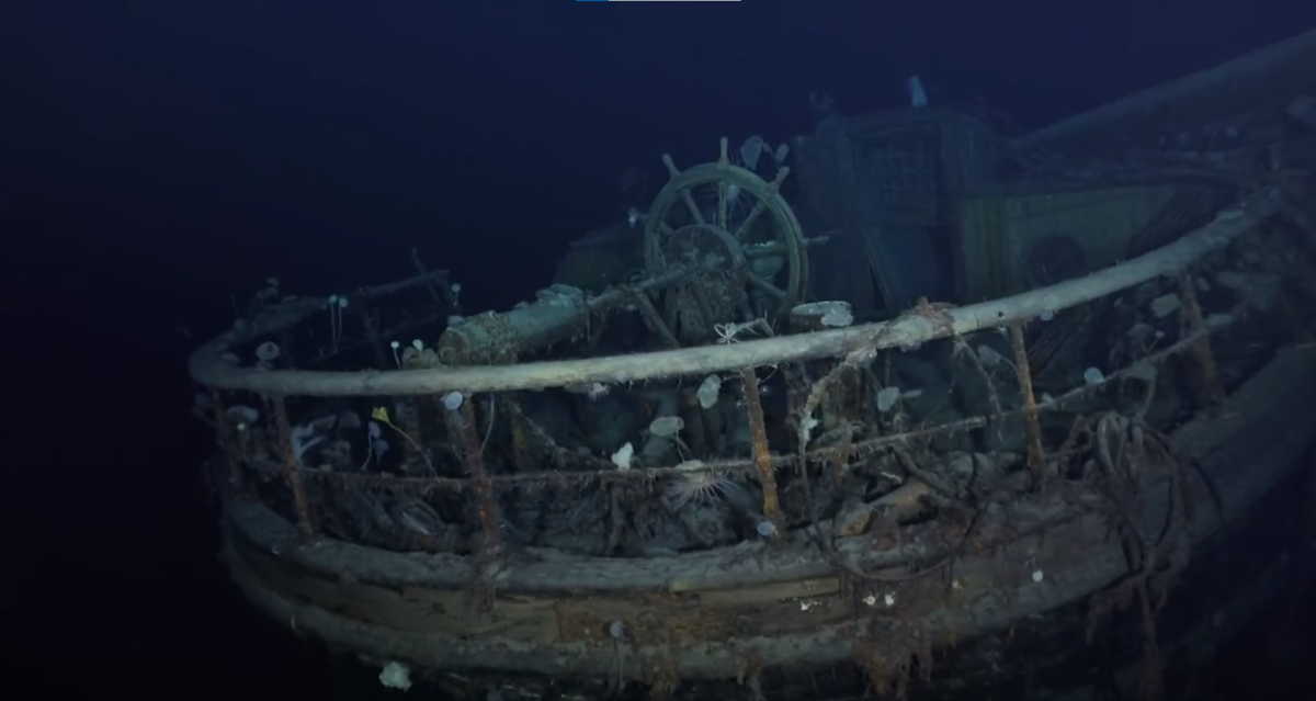 התגלית המדהימה באנטרקטיקה