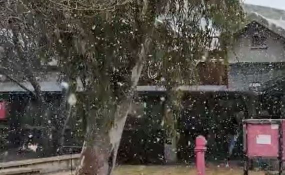 מרהיב: שלג כבד יורד כעת בצפון רמת הגולן