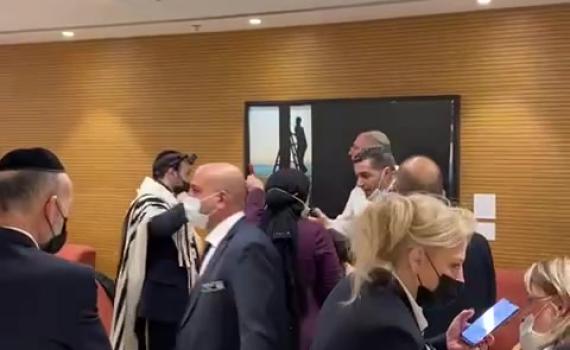 יועמ"שית הכנסת נגד לוי: "פעל שלא בסמכות"