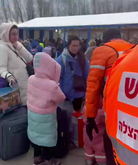 תשושים, עם חיות המחמד, הפליטים עולים לארץ