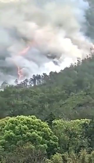 אסון בסין – מטוס עם 133 נוסעים התרסק