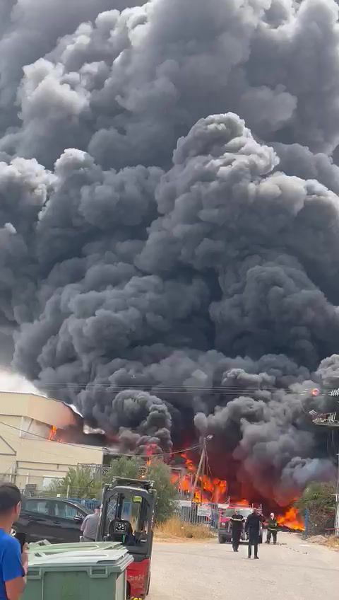 השריפה בבקעת הירדן: בתי ספר ועובדים בסיכון פונו