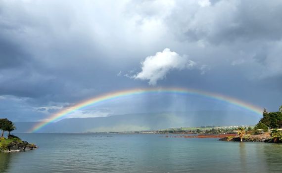 אחרי סופ"ש גשום: מפלס הכנרת רושם קפיצה אדירה