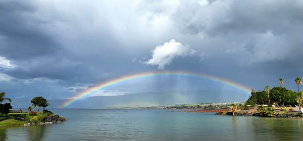 מפלס הכנרת בעלייה נוספת; וכמה חסר לכנרת מלאה?