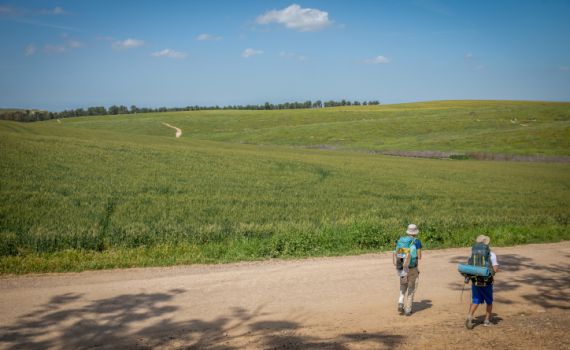 הטמפ' מזנקות; חום, רוחות ואובך: תחזית מזג אוויר