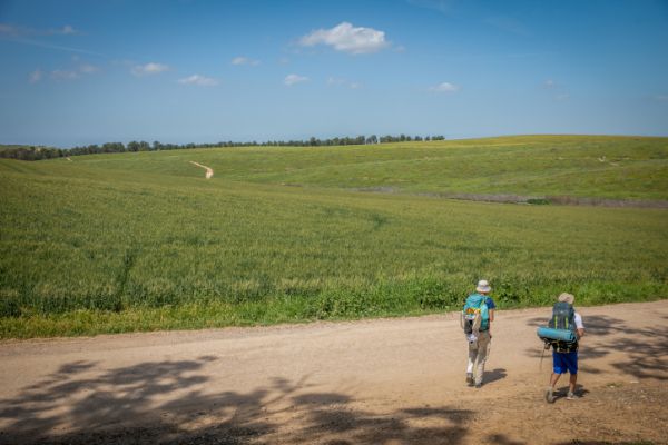 שרבי ואביך; גל חום נוסף בדרך: תחזית מזג אוויר