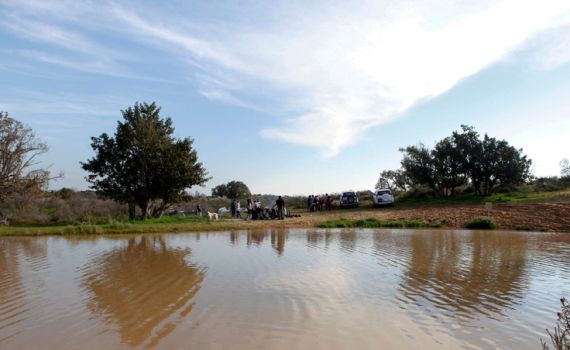 טיול בריכות חורף באביב: 5 מסלולים מומלצים