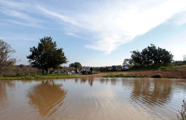 טיול בריכות חורף באביב: 5 מסלולים מומלצים