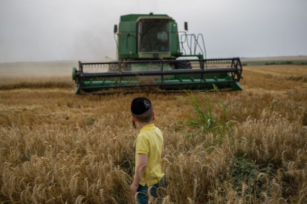 בגלל המלחמה: דיון דחוף בנוגע למחסור במזון