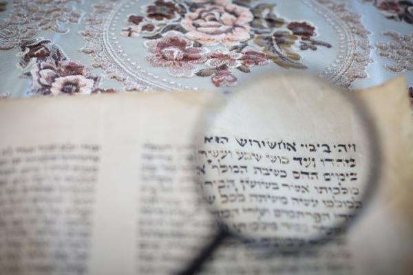 כך ניסו היהודים באיראן לרכוש את קבר מרדכי ואסתר