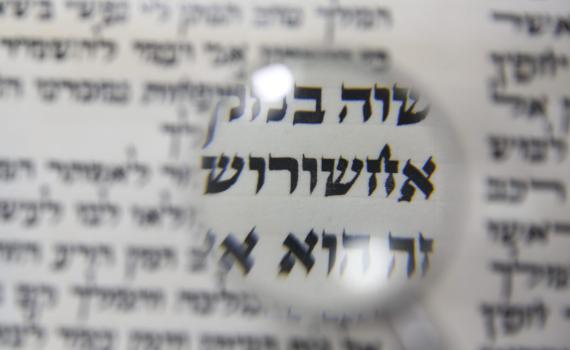 התרופות לכל חלקי הנפש נמצאות במגילת אסתר