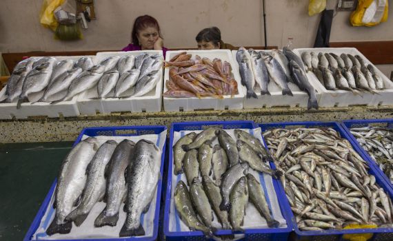 בשורה: פורסם הצו המבטל את המכס על הדגים