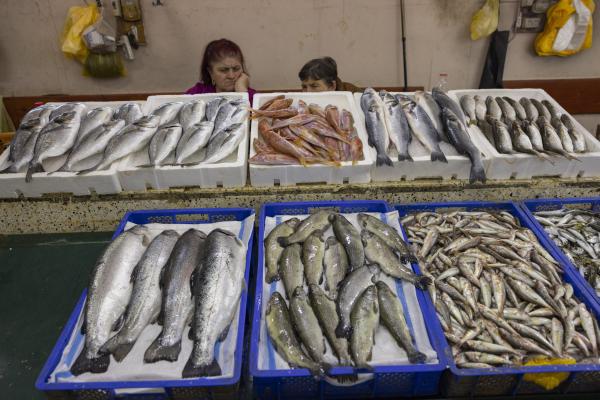 בשורה: פורסם הצו המבטל את המכס על הדגים