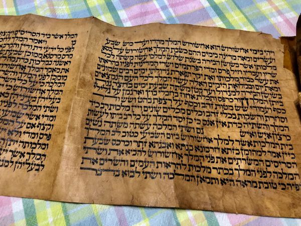 סיפורה של מגילה עתיקה: "כשאני מחזיק בה אני רועד"