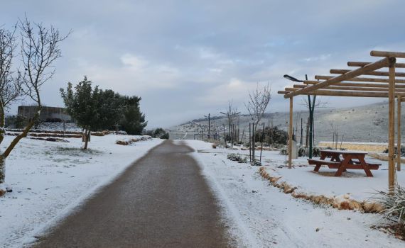 צפו: שלג קל בירושלים, בגליל התעוררו לבוקר לבן