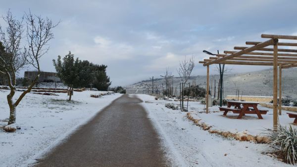 צפו: שלג קל בירושלים, בגליל התעוררו לבוקר לבן