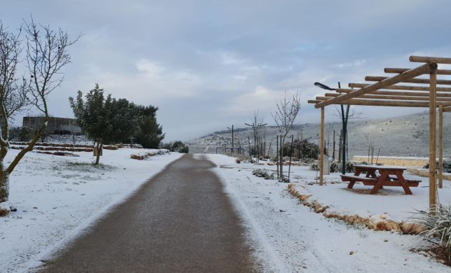  צפו: שלג קל בירושלים, בגליל התעוררו לבוקר לבן