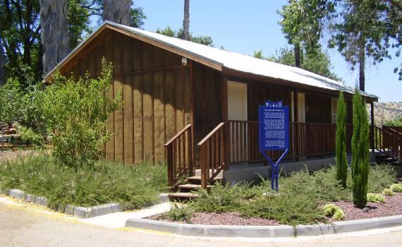 היום בהיסטוריה: בנו של נשיא המדינה נופל בקרב