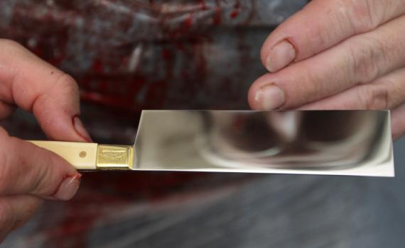 25 חודשי מאסר למנהל אגודת השוחטים בת"א