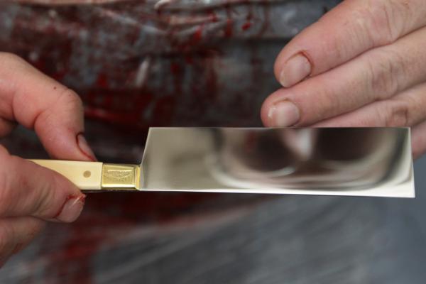 25 חודשי מאסר למנהל אגודת השוחטים בת"א