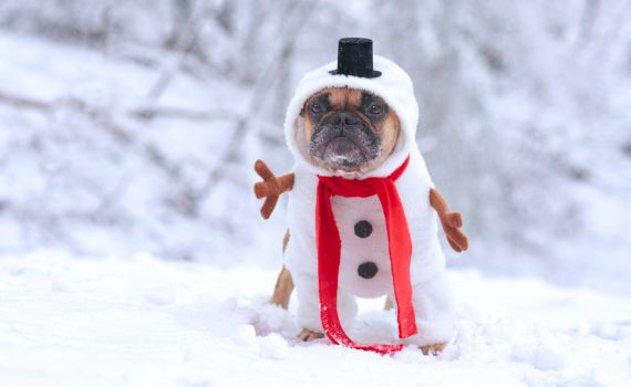 ספונטניים? 8 תחפושות מושלמות לשלג