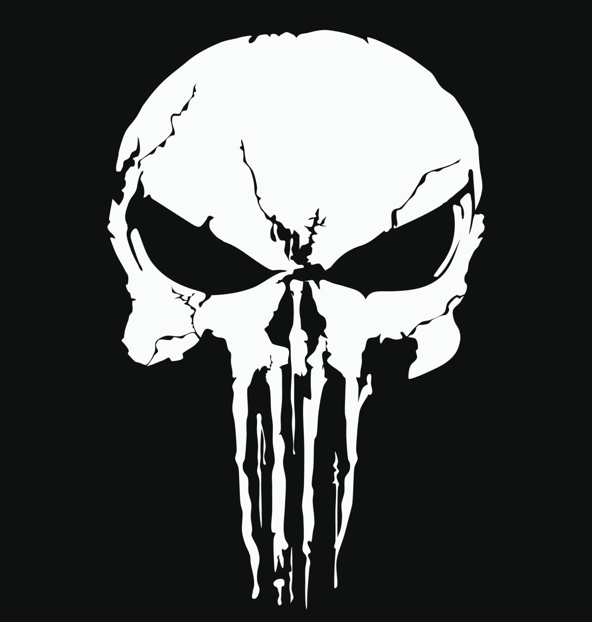 "המעניש": פירוש הסמל שלבש המחבל