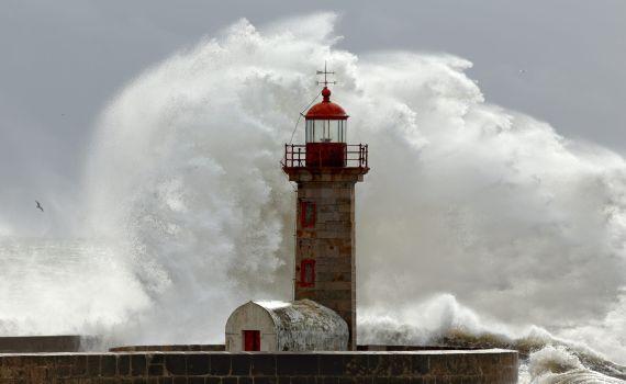 רעידת אדמה חזקה פגעה ביפן – אזהרת צונאמי