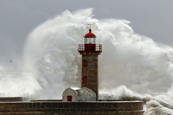 רעידת אדמה חזקה פגעה ביפן – אזהרת צונאמי