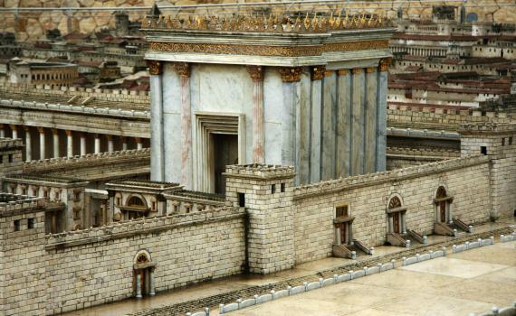 נרתעים מנושא הקורבנות? זה הספר בשבילכם