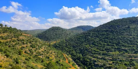 חול המועד בבנימין: מגוון פעילויות לכל ימי החג