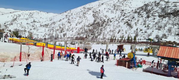 50 שנה בגובה 2040: אביב לבן באתר החרמון