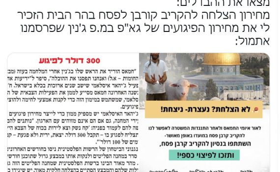 כתב ynet השווה בין קרבן פסח לפיגוע