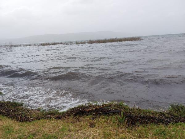 התעלומה נפתרה: זה הגורם למחלות העיניים בכנרת