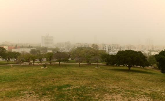 החום מתגבר; שרב וסופות חול: תחזית מזג אוויר