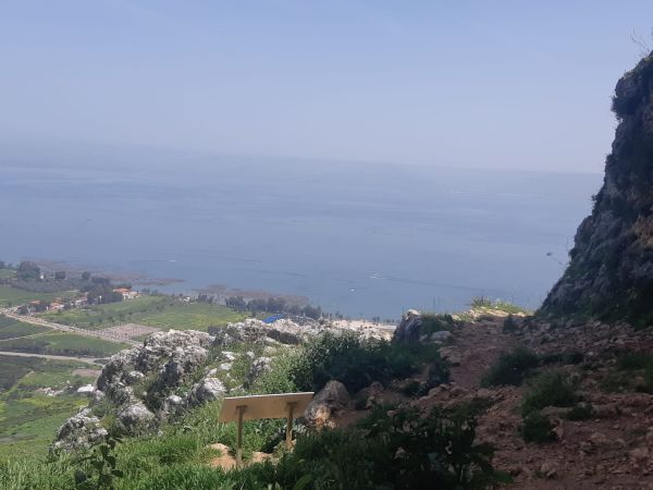 מרחק נגיעה מהקו העליון: עלייה נוספת במפלס הכנרת