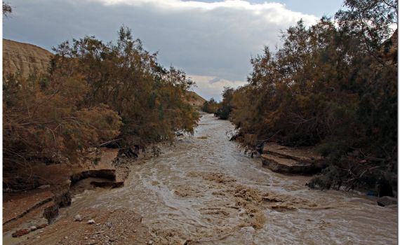 גשם יורד במדבר יהודה; חשש כבד לשיטפונות. צפו