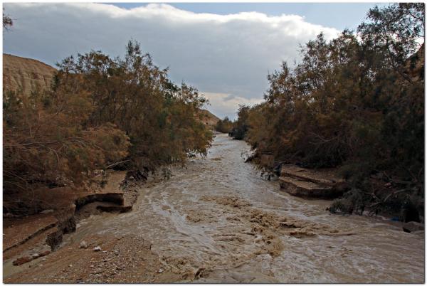 גשם יורד במדבר יהודה; חשש כבד לשיטפונות. צפו