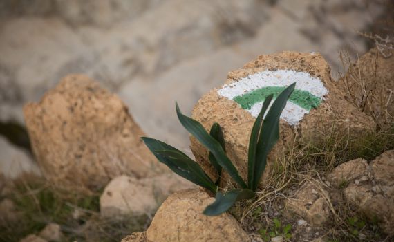 סכנת חיים: אלה הנחלים שייסגרו לכניסת מטיילים