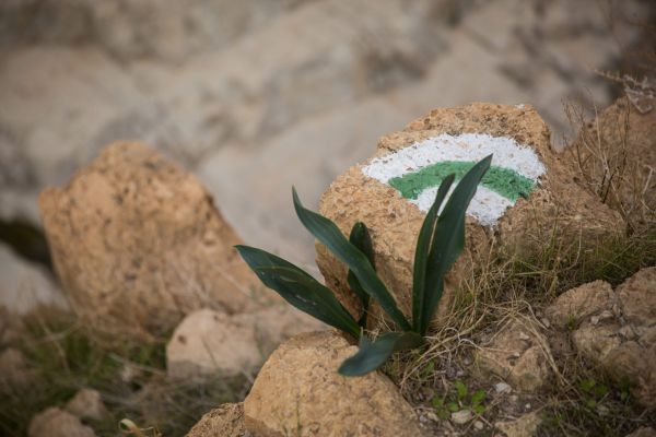 סכנת חיים: אלה הנחלים שייסגרו לכניסת מטיילים