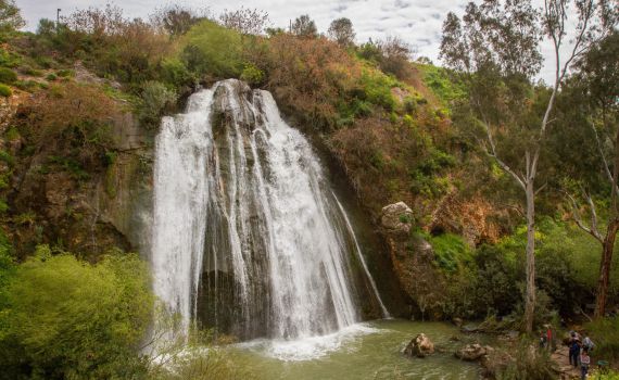 בשל זיהום במים: נסגרו חמישה נחלים בצפון
