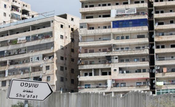 תלש דגל ישראל, העלה ל'טיקטוק' ונעצר