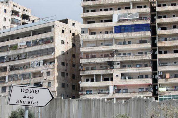תלש דגל ישראל, העלה ל'טיקטוק' ונעצר
