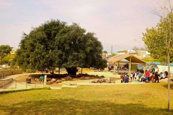 כ-20,000 מטיילים עד כה הגיעו לגוש עציון