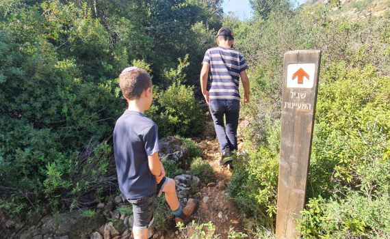 בכל רחבי הארץ: טיולים ואטרקציות מומלצות לפסח