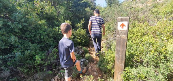 בכל רחבי הארץ: טיולים ואטרקציות מומלצות לפסח