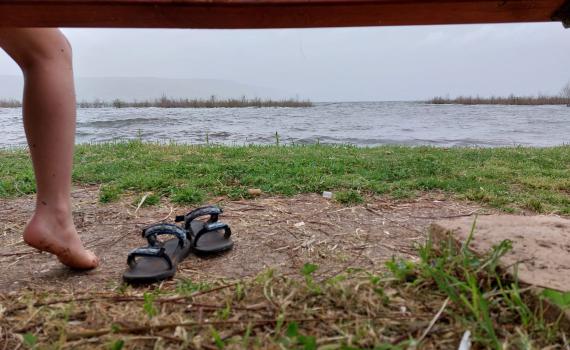 צאו לבלות: אטרקציות חינמיות בחג הפסח